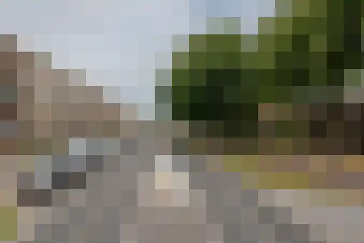 Allerheiligenweg 40 B Breda thumbnail 22