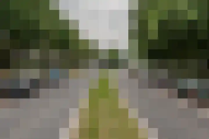 Allerheiligenweg 40 B Breda thumbnail 23