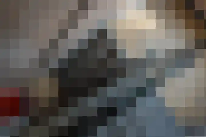 Allerheiligenweg 40 B Breda thumbnail 4