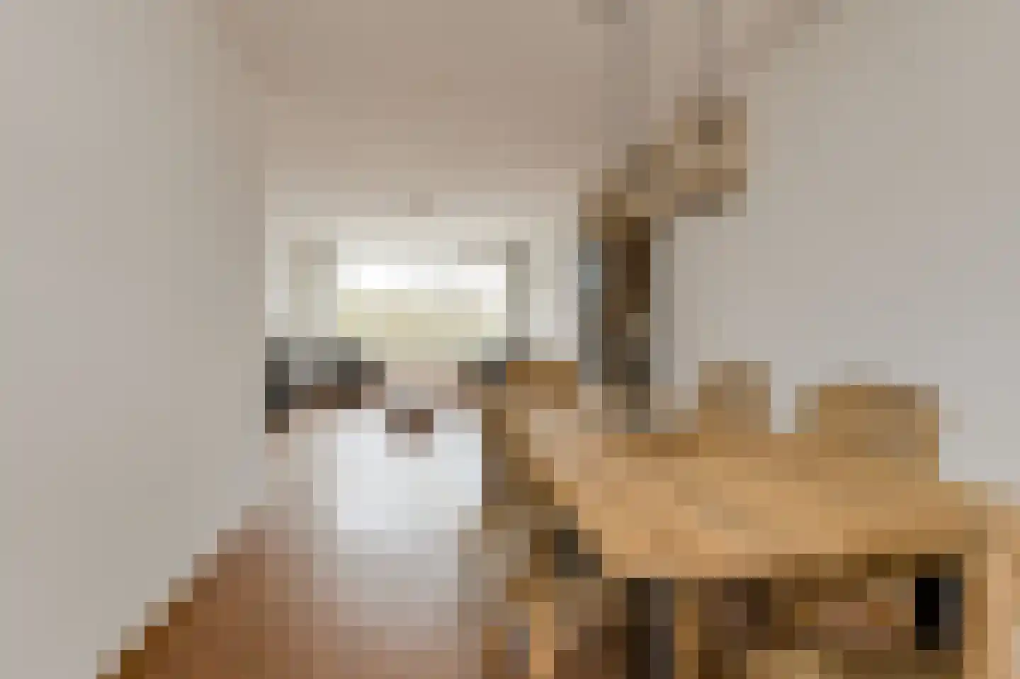 Allerheiligenweg 40 C Breda thumbnail 16