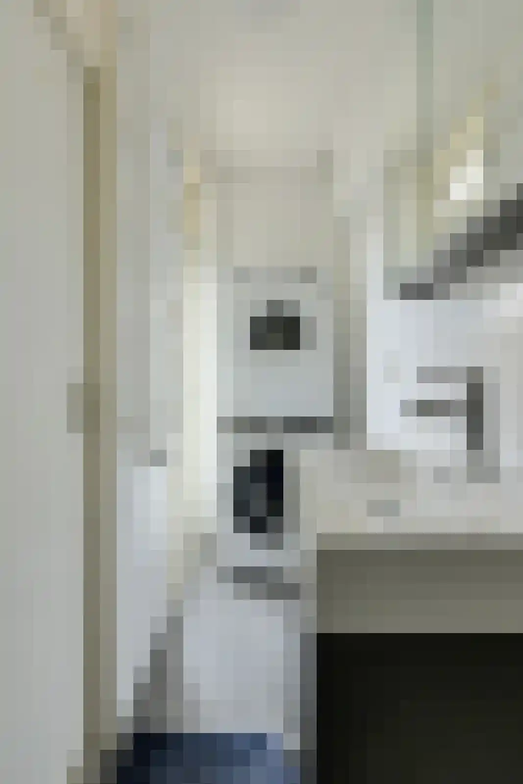 Allerheiligenweg 40 C Breda thumbnail 28