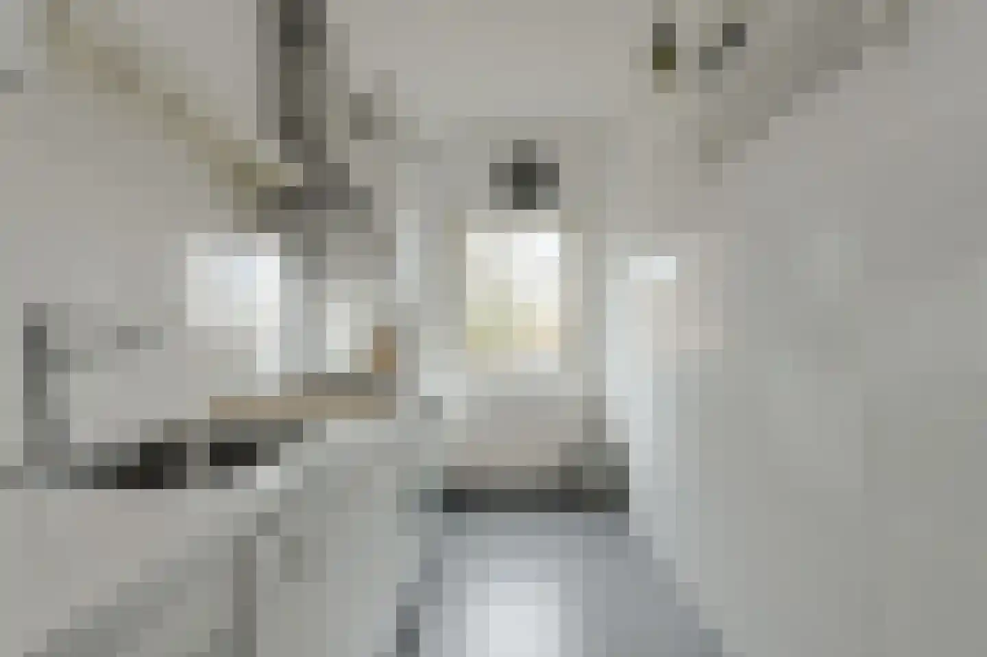 Allerheiligenweg 40 C Breda thumbnail 30