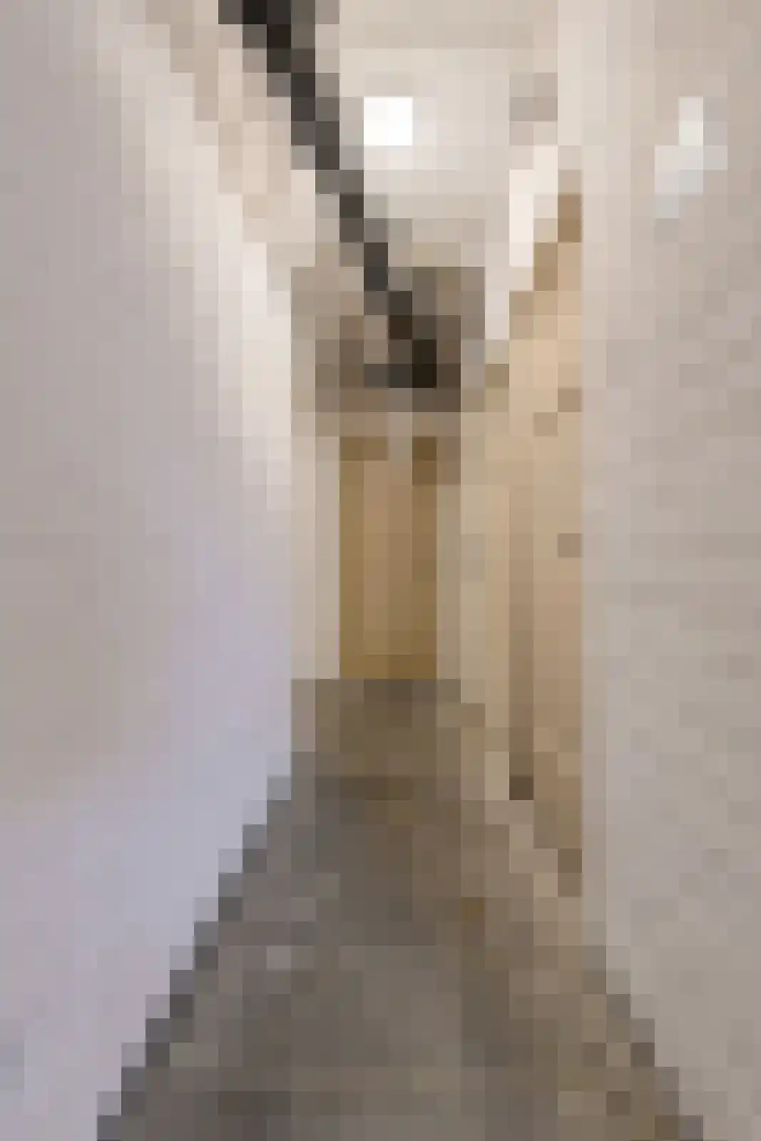 Allerheiligenweg 40 C Breda thumbnail 37