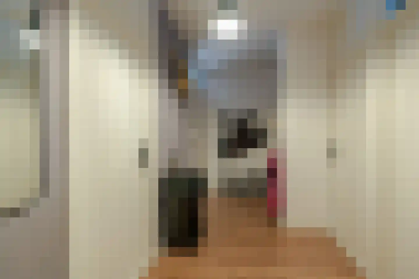 Allerheiligenweg 56 Breda thumbnail 5