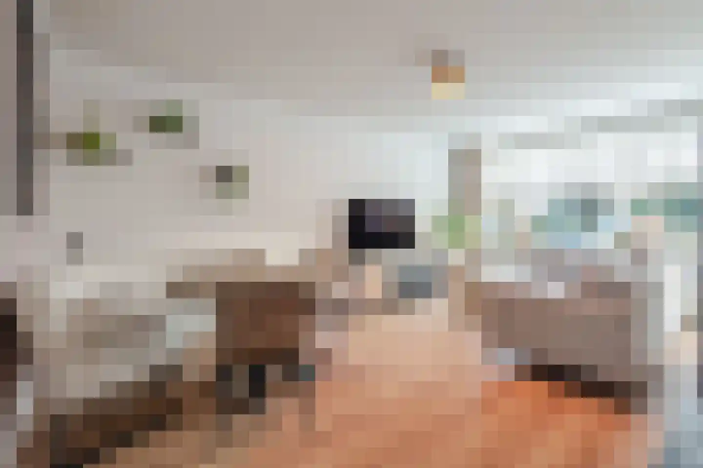Allerheiligenweg 56 Breda thumbnail 6