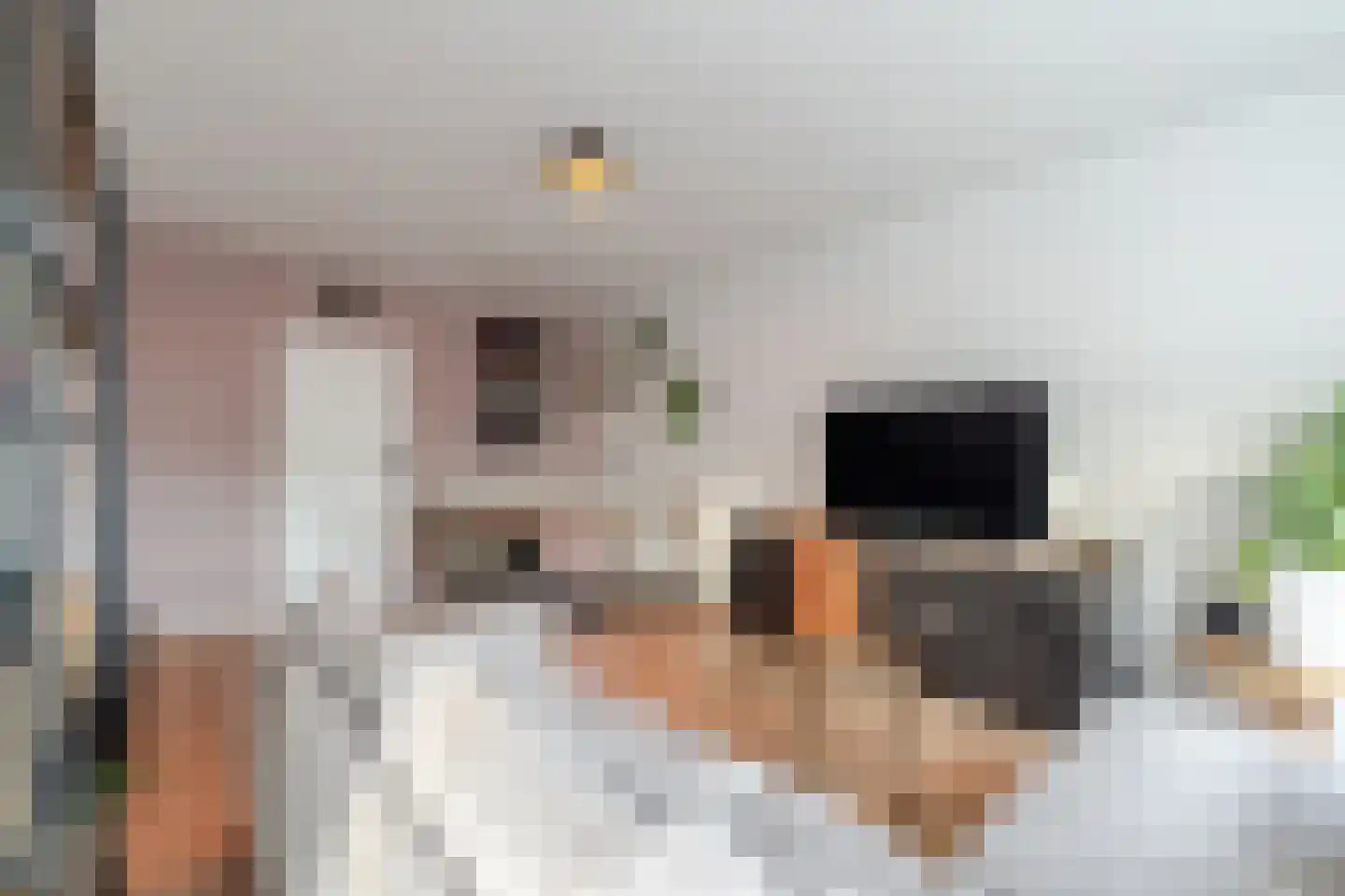 Allerheiligenweg 56 Breda thumbnail 8
