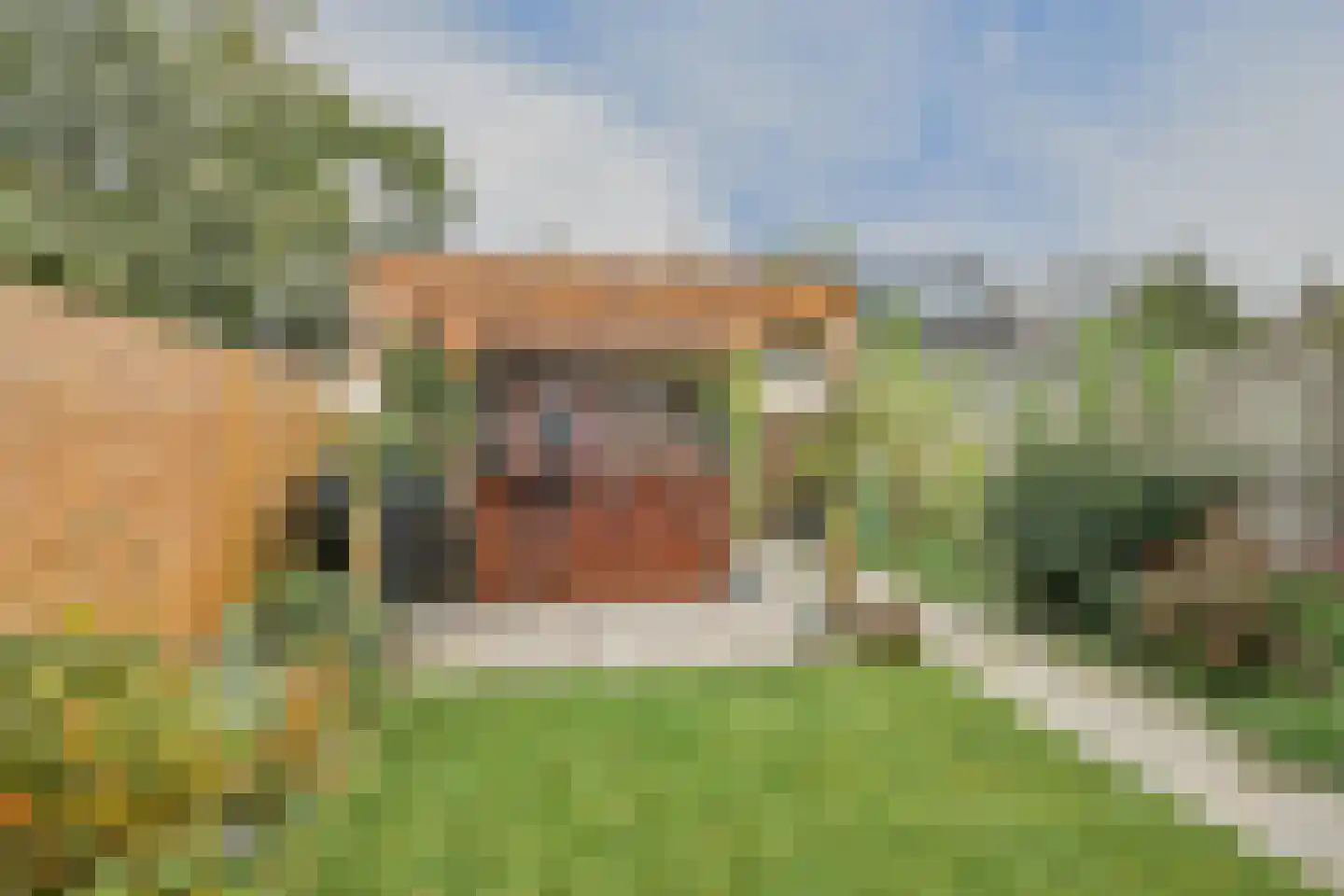 Allerheiligenweg 59 Breda thumbnail 30
