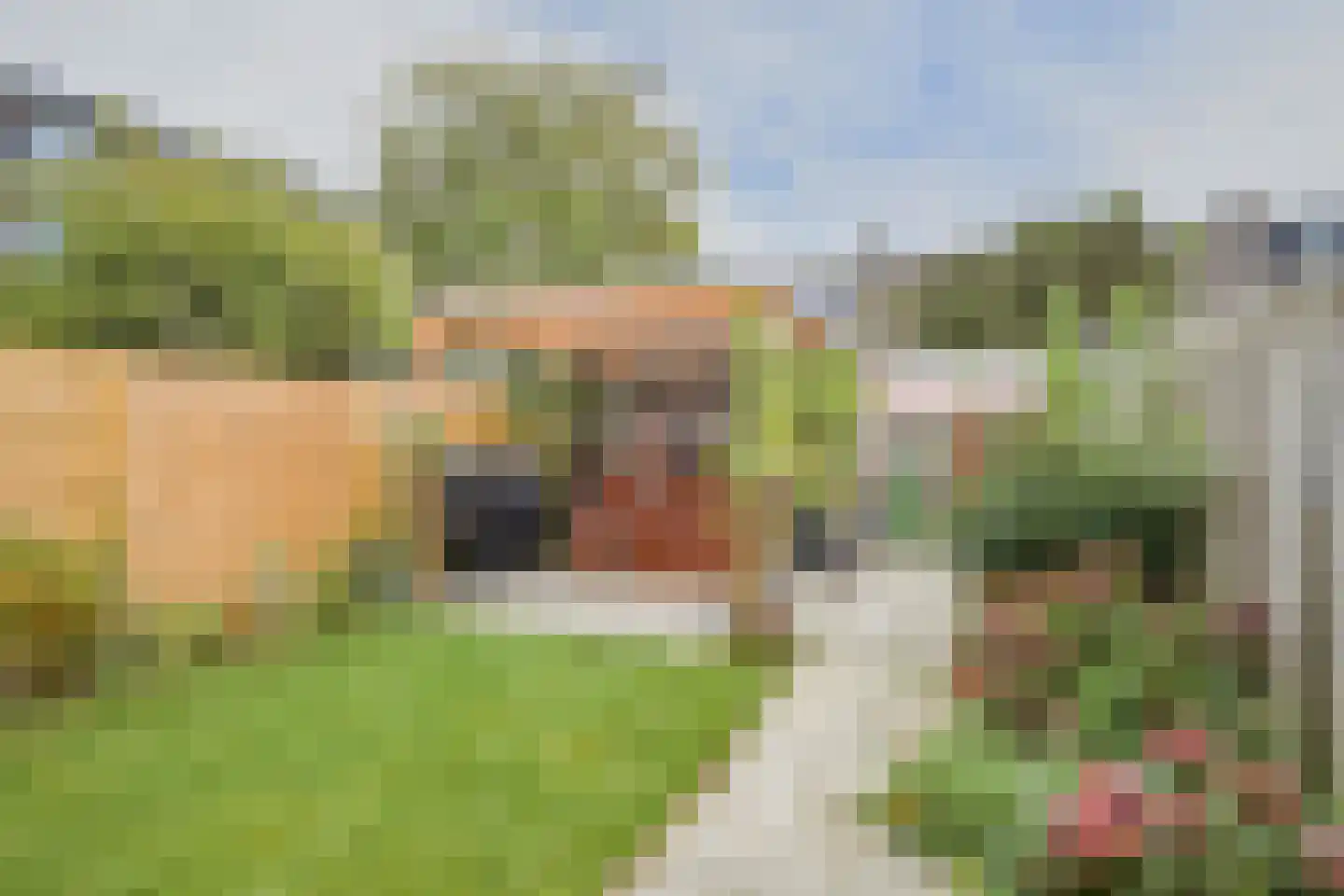 Allerheiligenweg 59 Breda thumbnail 32