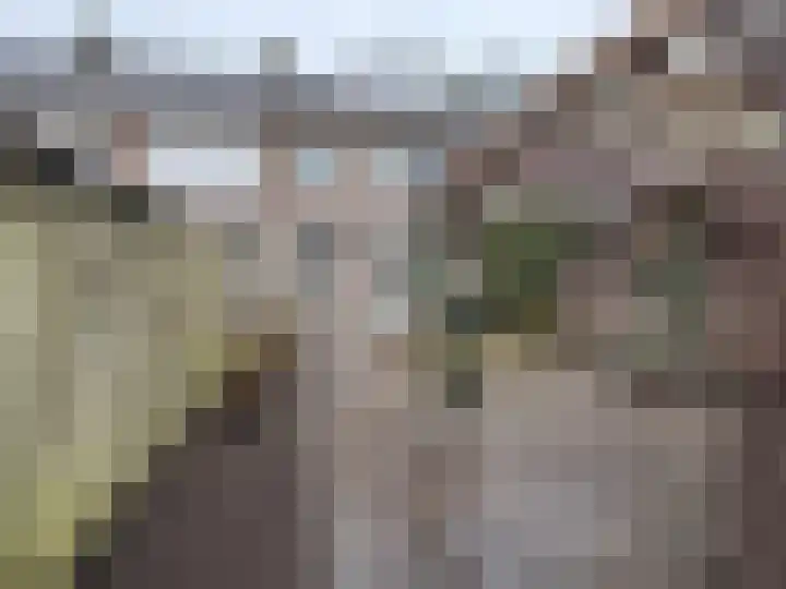 Allerheiligenweg 59 Breda thumbnail 35