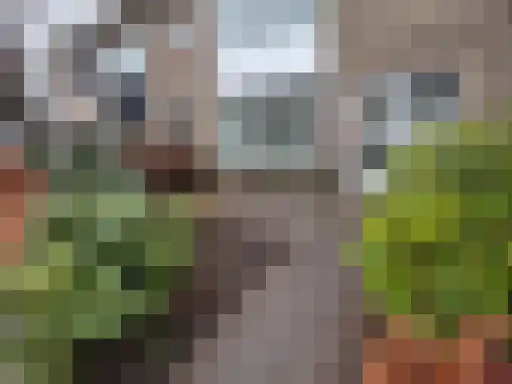 Allerheiligenweg 59 Breda thumbnail 36