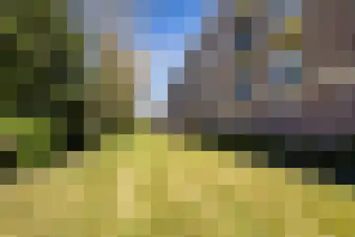Allerheiligenweg 62 A Breda thumbnail 20
