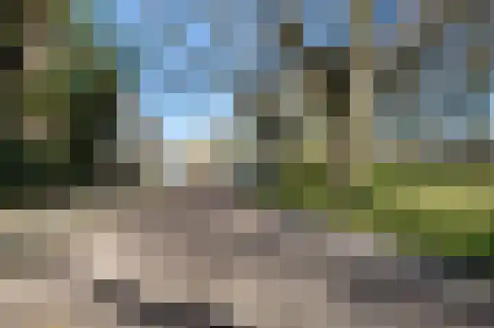 Allerheiligenweg 62 A Breda thumbnail 21