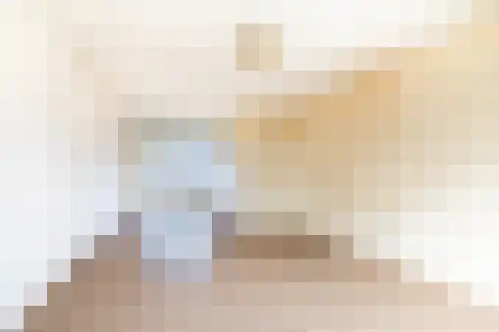 Allerheiligenweg 62 A Breda thumbnail 6
