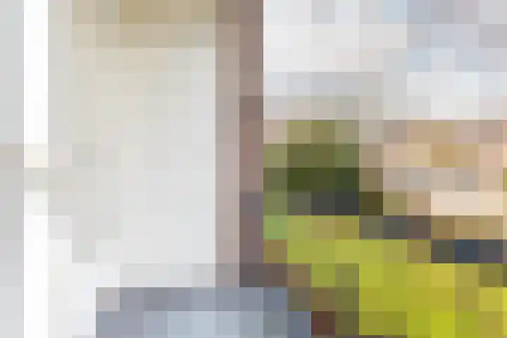Allerheiligenweg 62 A Breda thumbnail 8
