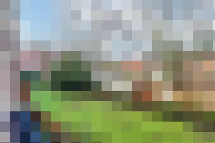 Allerheiligenweg 62 A Breda thumbnail 9