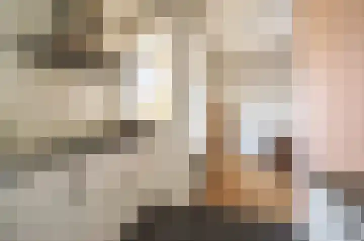 Allerheiligenweg 68 B Breda thumbnail 17