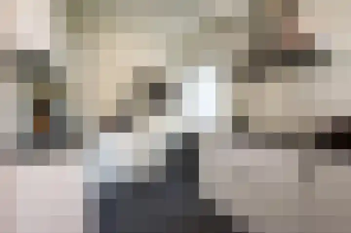 Allerheiligenweg 68 B Breda thumbnail 18
