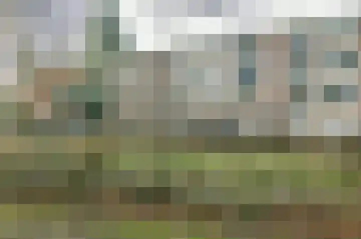 Allerheiligenweg 68 B Breda thumbnail 33