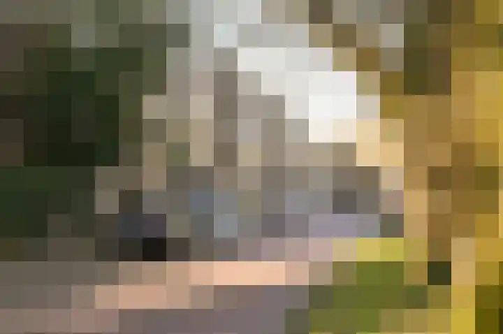 Allerheiligenweg 68 B Breda thumbnail 35