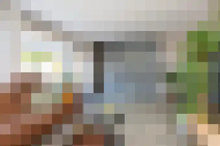 Allersmaat 72 Doesburg thumbnail 13