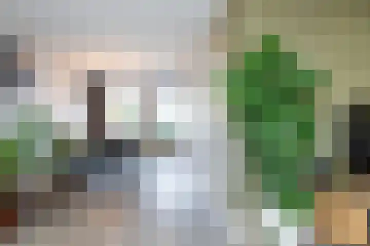 Allersmaat 72 Doesburg thumbnail 15