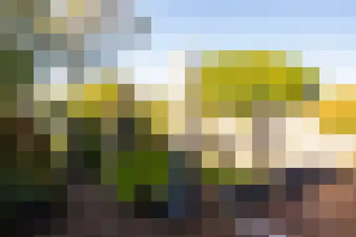 Allersmaat 72 Doesburg thumbnail 22