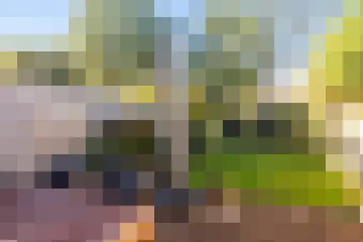 Allersmaat 72 Doesburg thumbnail 23