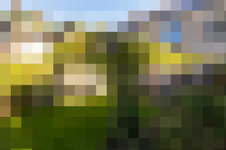 Allersmaat 72 Doesburg thumbnail 24
