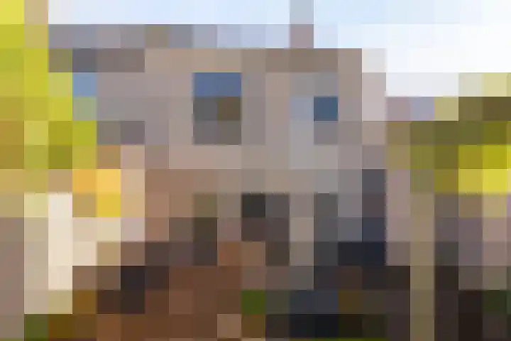 Allersmaat 72 Doesburg thumbnail 25