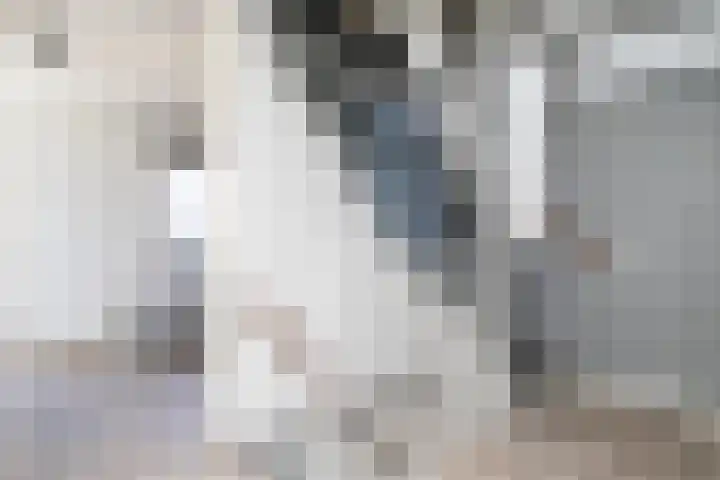 Allersmaat 72 Doesburg thumbnail 30
