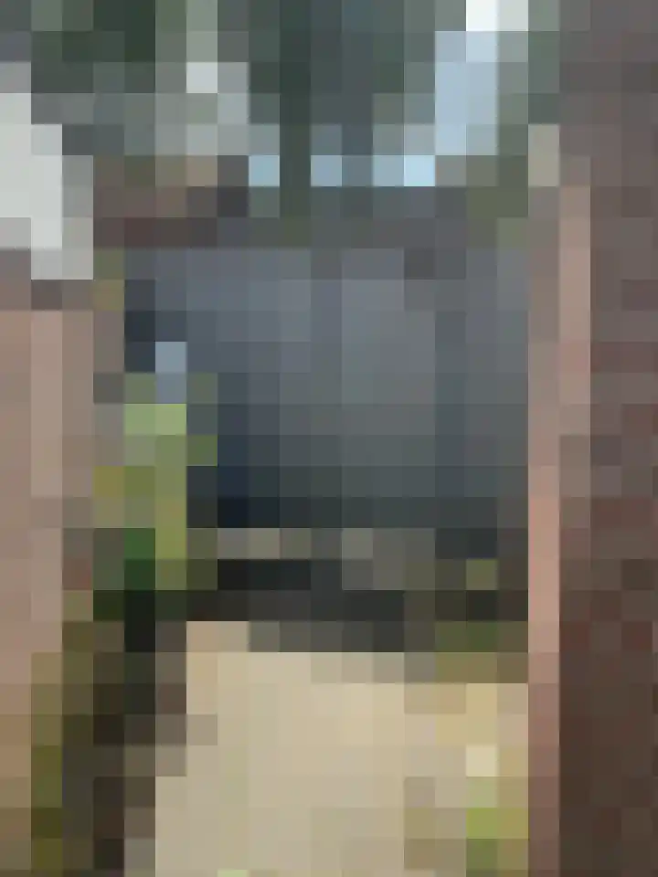 Allersmastraat 3 Groningen thumbnail 22