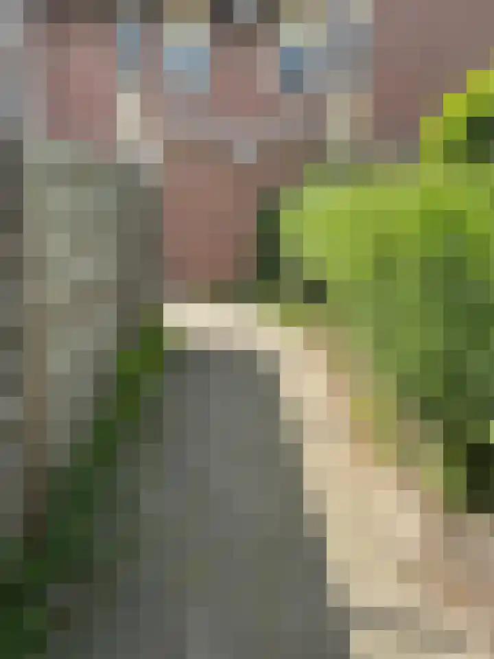 Allersmastraat 3 Groningen thumbnail 23