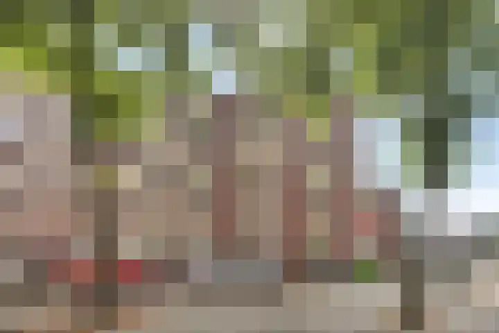 Allersmastraat 7 Groningen thumbnail 21
