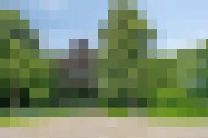 Allersmastraat 7 Groningen thumbnail 23
