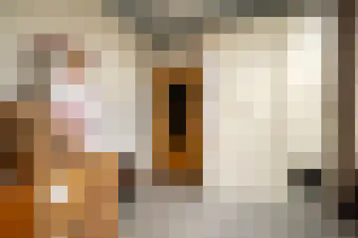 Allersmaweg 10 Ezinge thumbnail 17