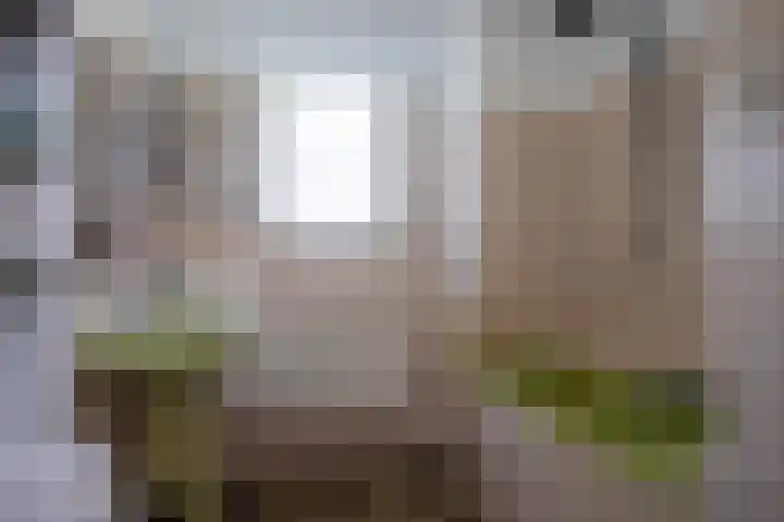 Allersmaweg 10 Ezinge thumbnail 18