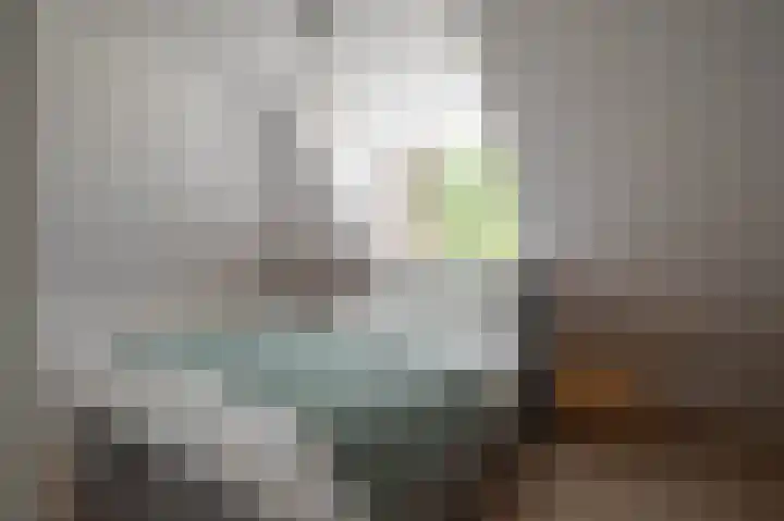 Allersmaweg 10 Ezinge thumbnail 23