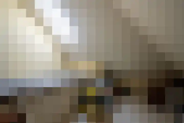 Allersmaweg 10 Ezinge thumbnail 29
