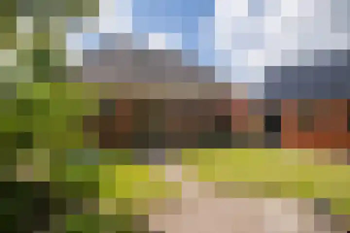 Allersmaweg 10 Ezinge thumbnail 34