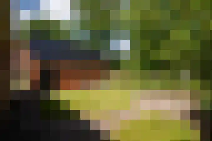 Allersmaweg 10 Ezinge thumbnail 35
