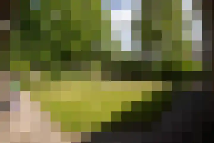 Allersmaweg 10 Ezinge thumbnail 37