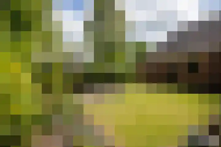 Allersmaweg 10 Ezinge thumbnail 38