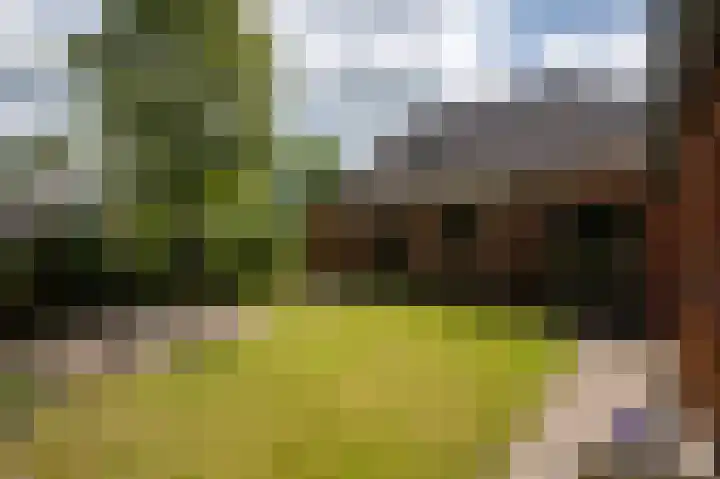 Allersmaweg 10 Ezinge thumbnail 39