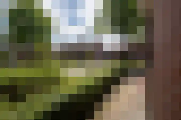 Allersmaweg 10 Ezinge thumbnail 40