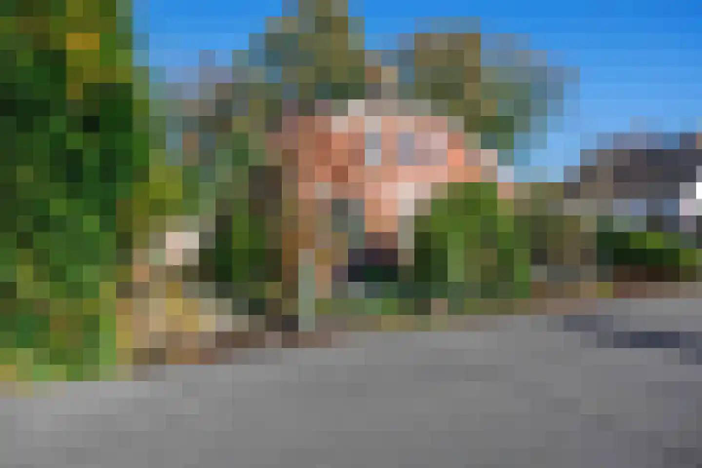 Allersmaweg 4 Ezinge thumbnail 4