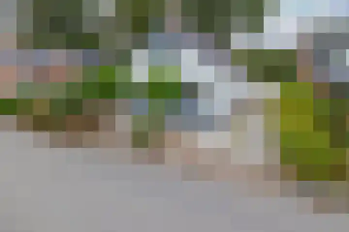 Allersmaweg 6 Ezinge