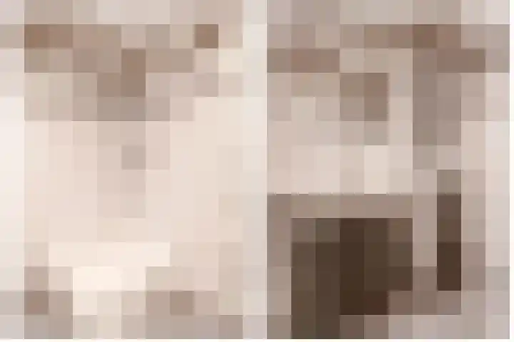 Allersmaweg 6 Ezinge thumbnail 15