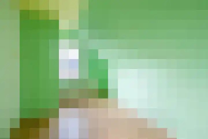 Allersmaweg 6 Ezinge thumbnail 19