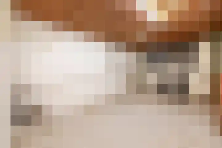 Allersmaweg 6 Ezinge thumbnail 22