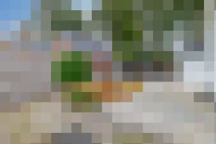 Allersmaweg 6 Ezinge thumbnail 27
